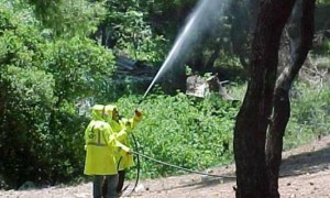 688288-psekasmoi-dakoktonias-620x320