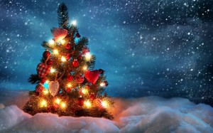 beautiful_christmas_tree-wide_medium-1024x639